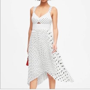 Banana Republic Polka Dot Dress